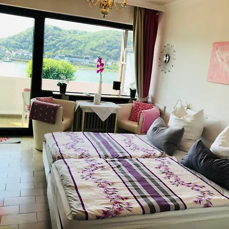 Apartment Ferienwohnungen Mit Rheinblick *
