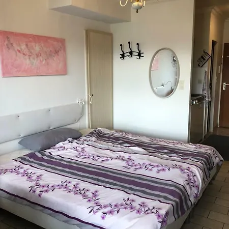 Apartment Ferienwohnungen Mit Rheinblick
